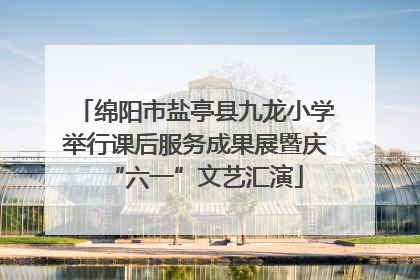 绵阳市盐亭县九龙小学举行课后服务成果展暨庆“六一”文艺汇演